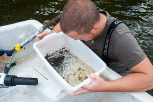 Sortering av bottenfauna. Foto: Richard Nilsson