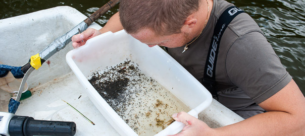 Sortering av bottenfauna. Foto: Richard Nilsson