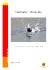 Simfåglar i Ringsjön – Sammanfattning av räkningar 1968 – 2003