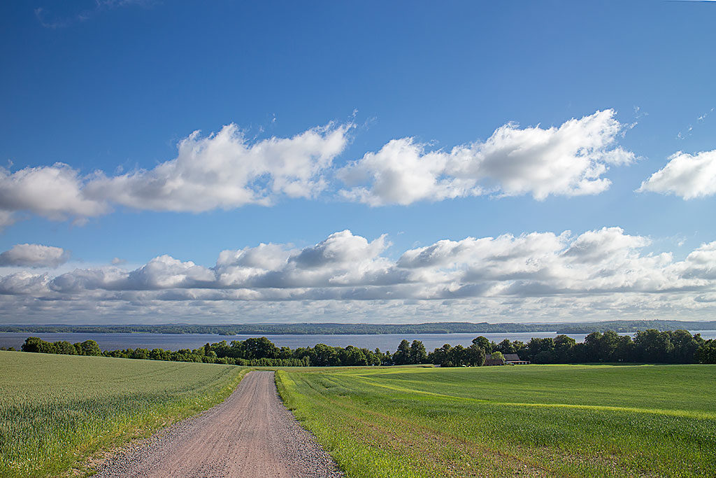 Utsikt över Västra Ringsjön från höjderna ovanför Råröd. Foto: Birgitta Bengtsson