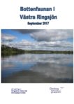 Bottenfaunan i Västra Ringsjön – september 2017