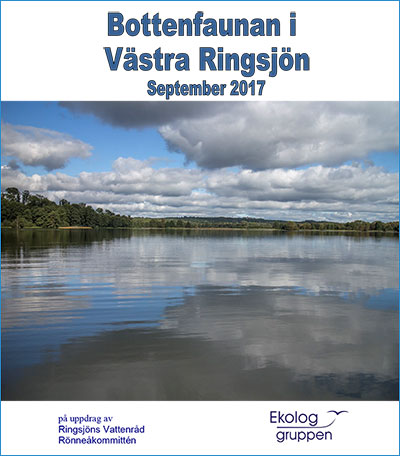 Omslag till Ekologgruppens rapport från bottenfaunainventeringen i Västra Ringsjön i september 2017