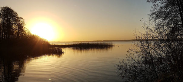 Vy över Västra Ringsjön vid Rönne ås utlopp en novembermorgon 2017. Foto: Richard Nilsson
