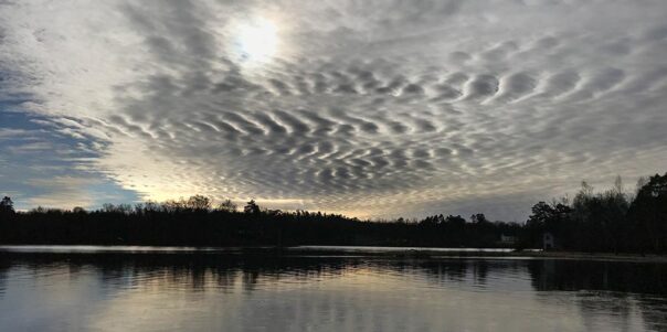 Vårvintervy över Hjälmsjöns punkt R37 i det samordnade recipientkontrollprogrammet för Rönneåns avrinningsområde. Foto: Birgitta Bengtsson