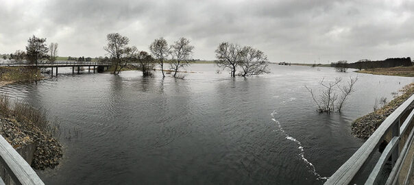 Panoramavy över Pinnåns utlopp i Rönne å, punkt R58, 12 mars 2019.