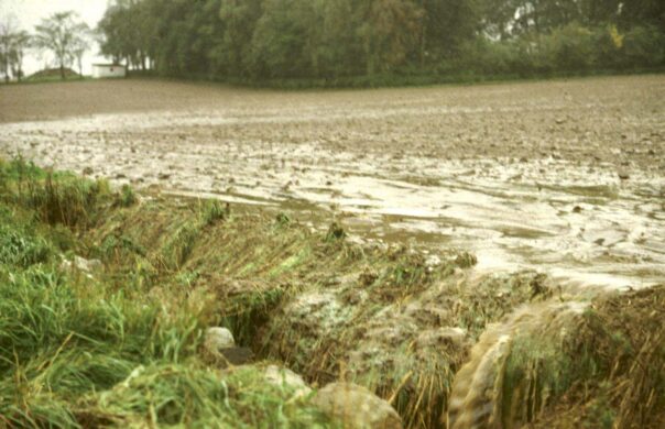 Ytavrinning och erosion av åkermark påverkar näringshalten i vattnet och är negativt för Ringsjön. Foto: Vought & Lacoursière