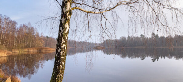 Ybbarpssjön, vid utflödet till Ybbarpsån