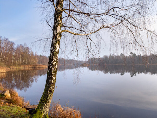 Ybbarpssjön, vid utflödet till Ybbarpsån