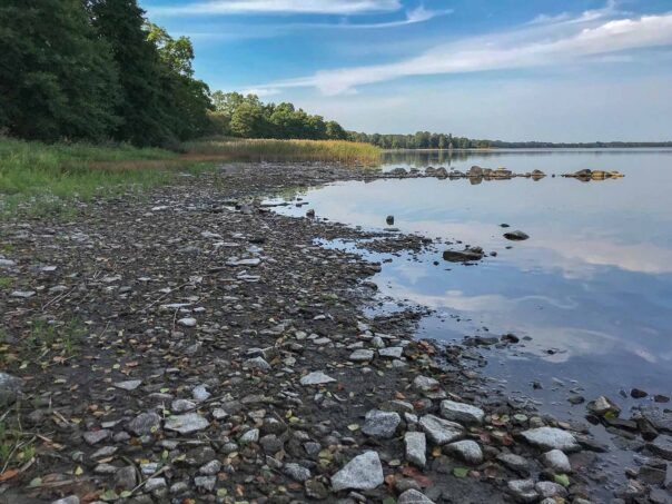 Lågt vattenstånd vid Västra Ringsjön