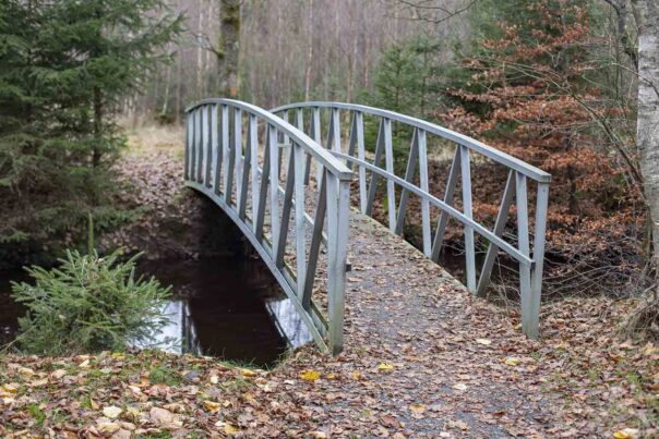 En bro över Pinnån vid provpunkt 36 vid Pinnåns utflöde ur Åsljungasjön.