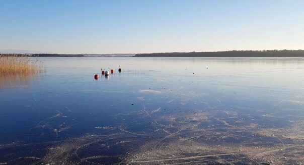 Janauri 2021, solen skiner över skridskospåren på Sätoftasjöns is. Foto: Richard Nilsson