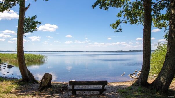 Bild över Ringsjön med stilla vatten en solig dag.