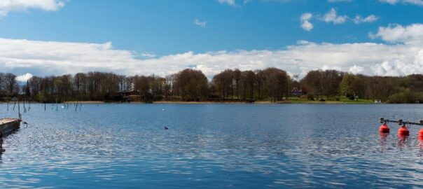 Vy över Östra Ringsjön från stranden vid Ringsjöfisk.