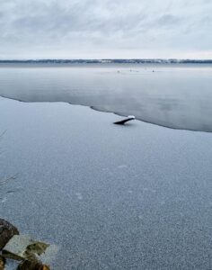 Östra Ringsjön har ännu inte frusit till. Foto: Jimmy Lindahl