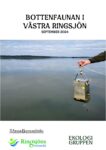 Bottenfaunan i Västra Ringsjön – september 2024
