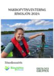 Makrofytinventering i Ringsjön 2024